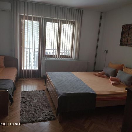 Vila Cair Doplata Za Bazen Soko Banja Luaran gambar